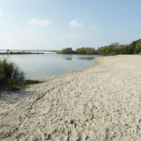 Wadzicht